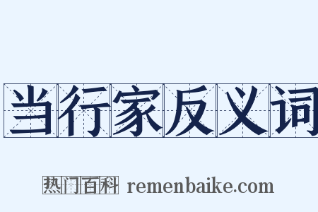 当行家反义词是什么意思的图片